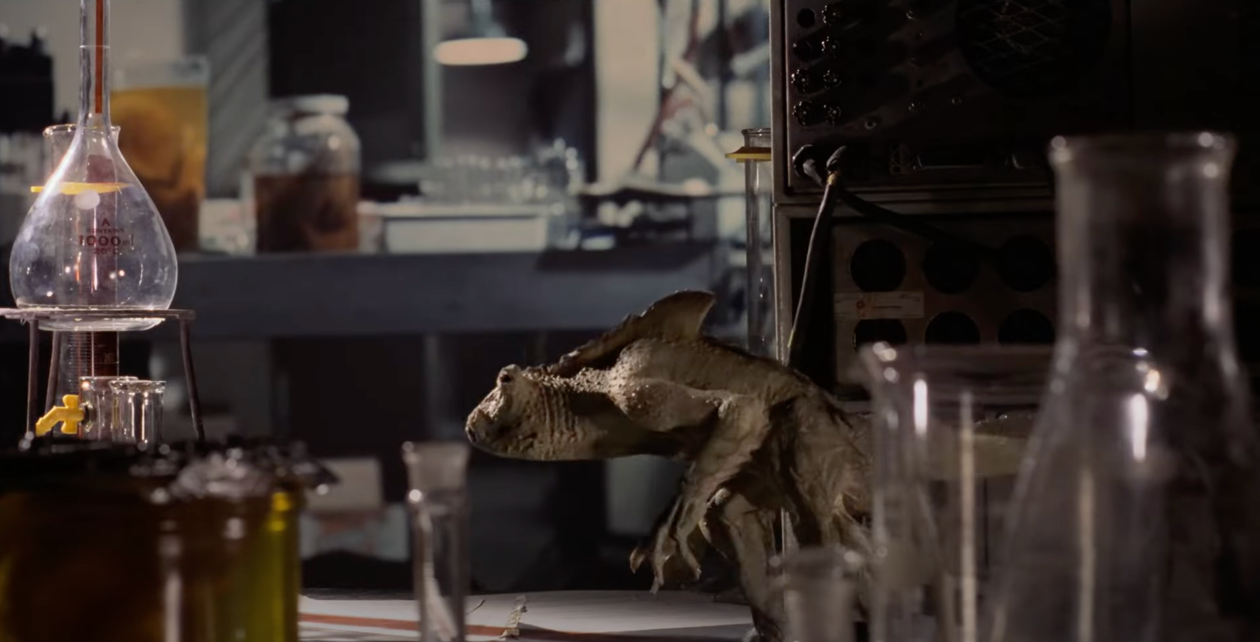A small creature tiptoes across a table surrounded by scientific equipment
