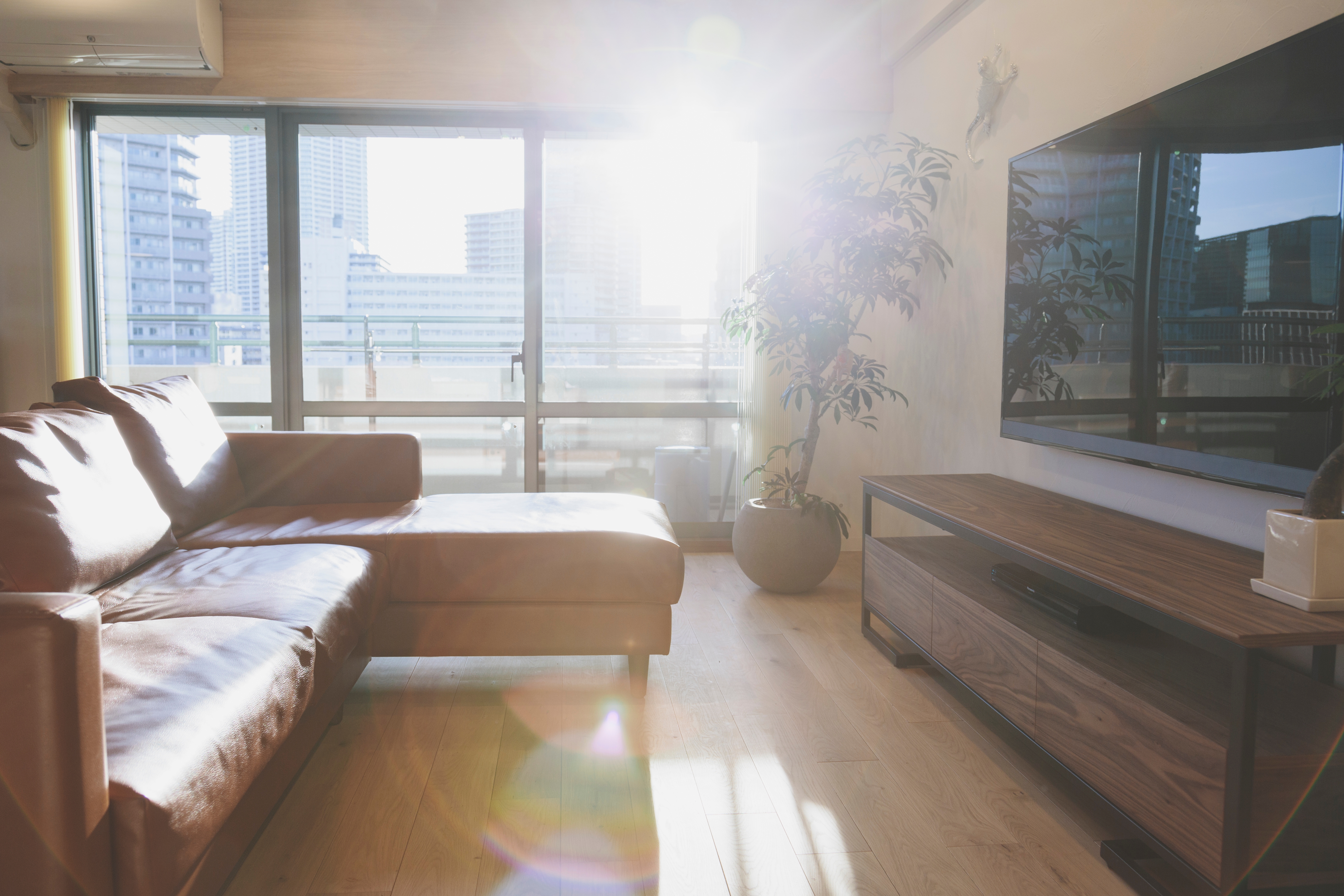 Modern living room with a large leather sectional, flat-screen TV, and bright sunlight streaming through floor-to-ceiling windows