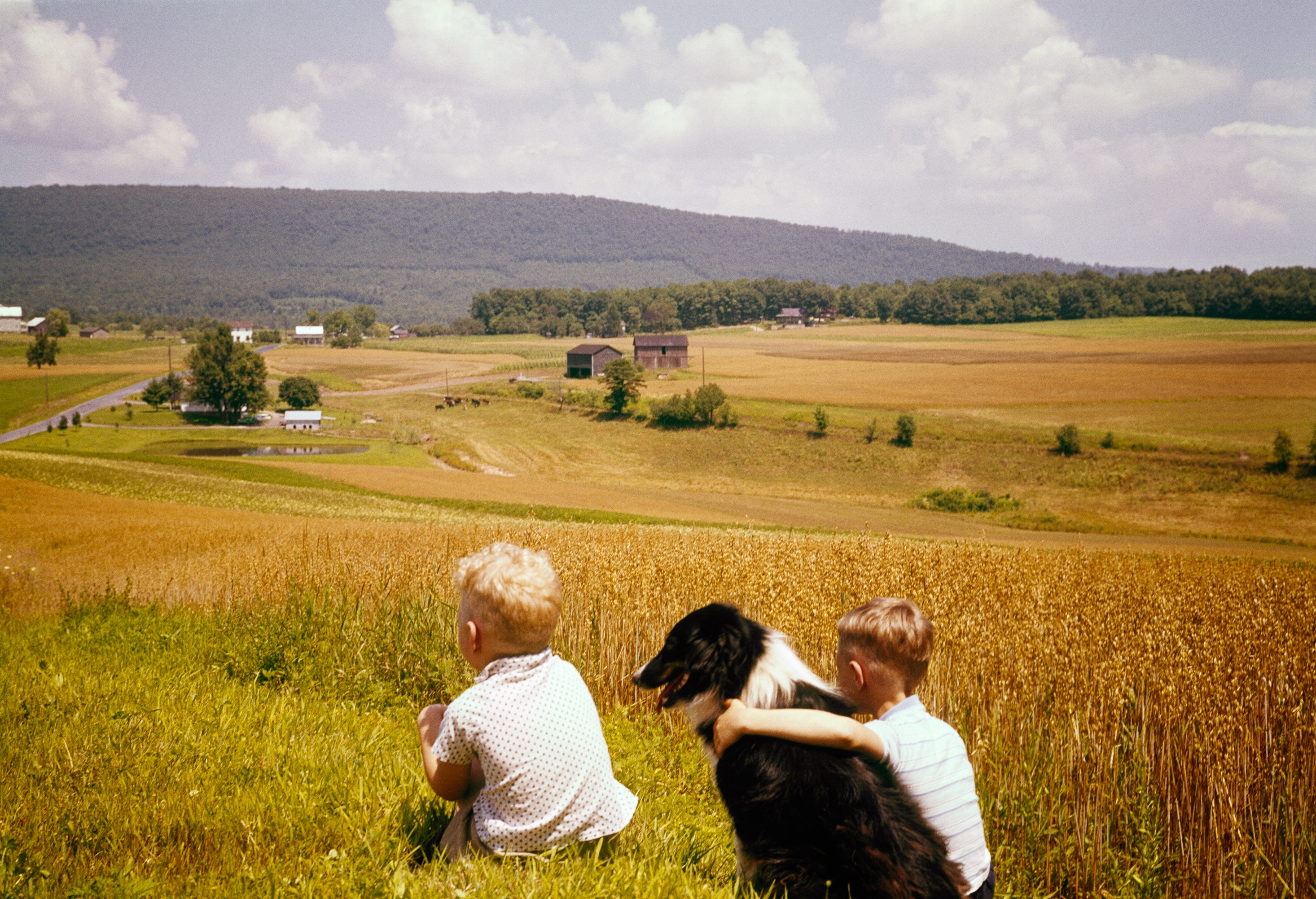 Two children and a dog sit on a grassy hill overlooking a rural landscape with fields and distant buildings