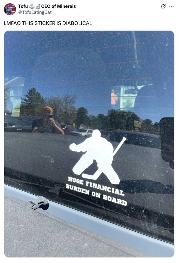 Car window sticker showing a hockey player with text: "Huge Financial Burden on Board." A reflection of a person taking the picture is visible