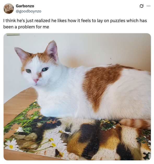 A white and orange cat is lounging on a partially completed jigsaw puzzle laid out on a table