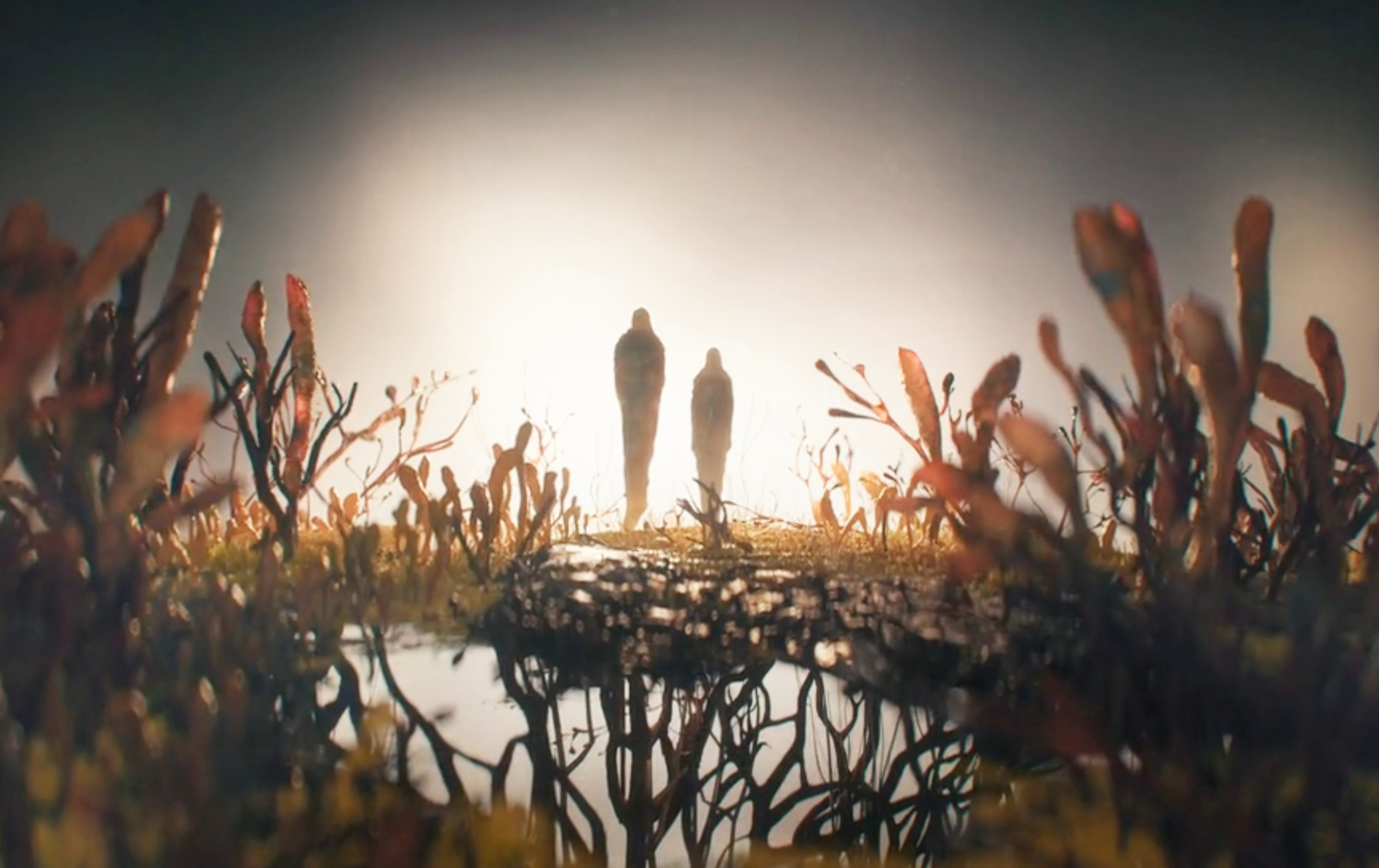 A tall and shorter sihouette standing amongs fungi