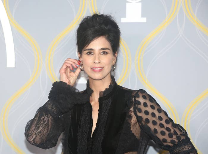 Sarah Silverman touches her ear while wearing a black dress at a red carpet event