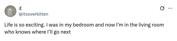Tweet expressing excitement over moving from the bedroom to the living room, humorously pondering the next destination