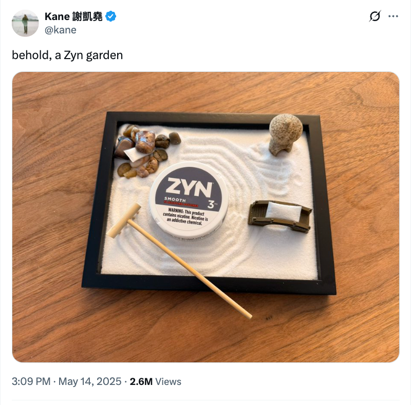 Miniature zen garden with a small rake, stones, and a Zyn tobacco pouch, captioned "behold, a Zyn garden."