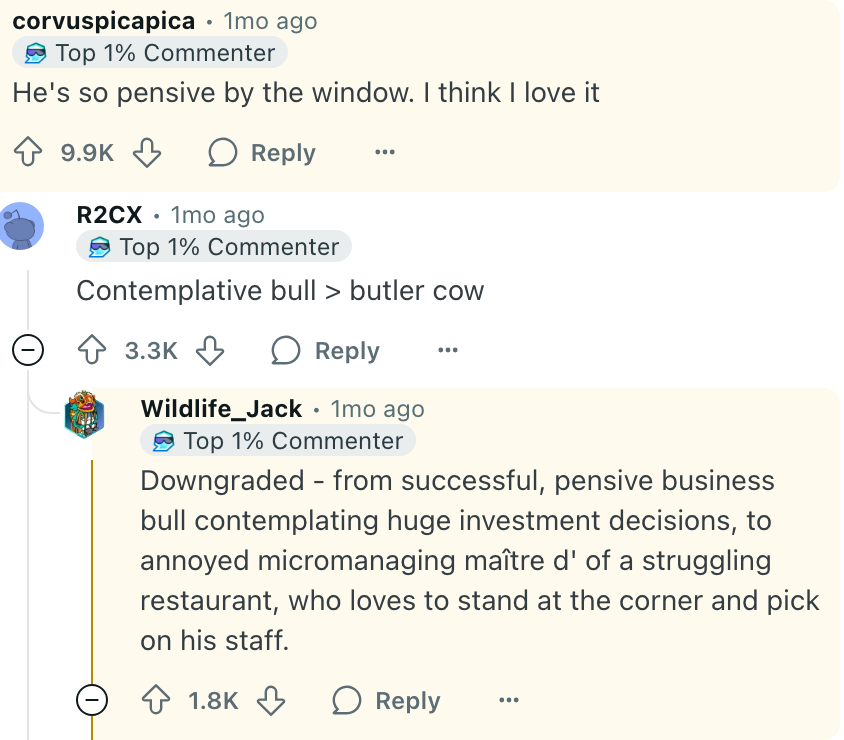 Online comments discuss a contemplative bull by a window. Commenters humorously compare it to a butler cow and a stressed maître d'