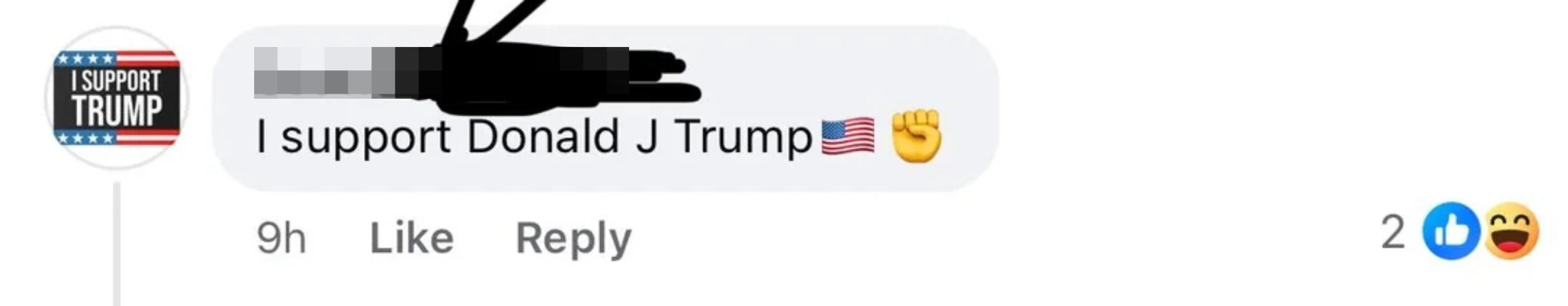 Comment saying, "I support Donald J Trump" with American flag and fist emojis. Two likes and a laughing emoji reaction are visible