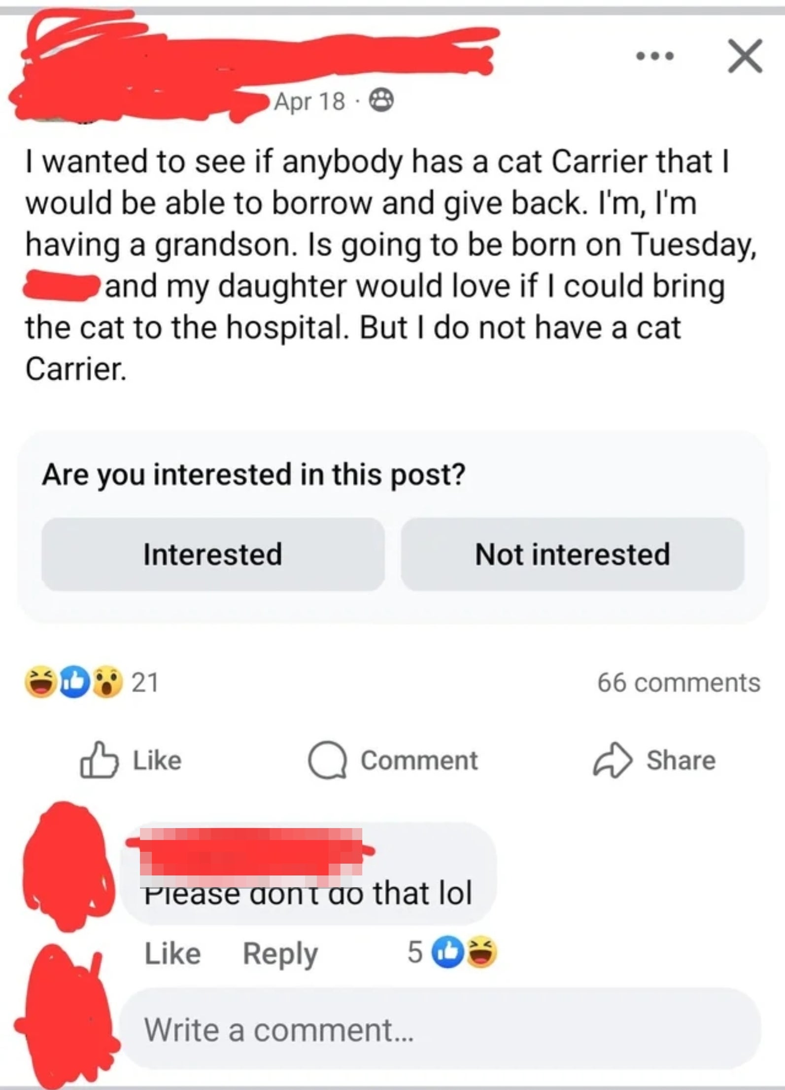 Screenshot of a Facebook post discussing borrowing a cat carrier to bring a cat to the hospital for a grandchild's birth, with humorous replies