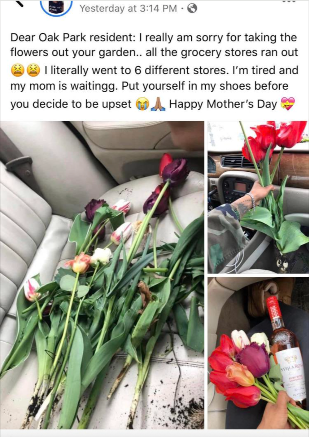 A text message apologizes for taking flowers from a garden due to store shortages, asking for understanding. Includes tulip images and a Mother's Day wish