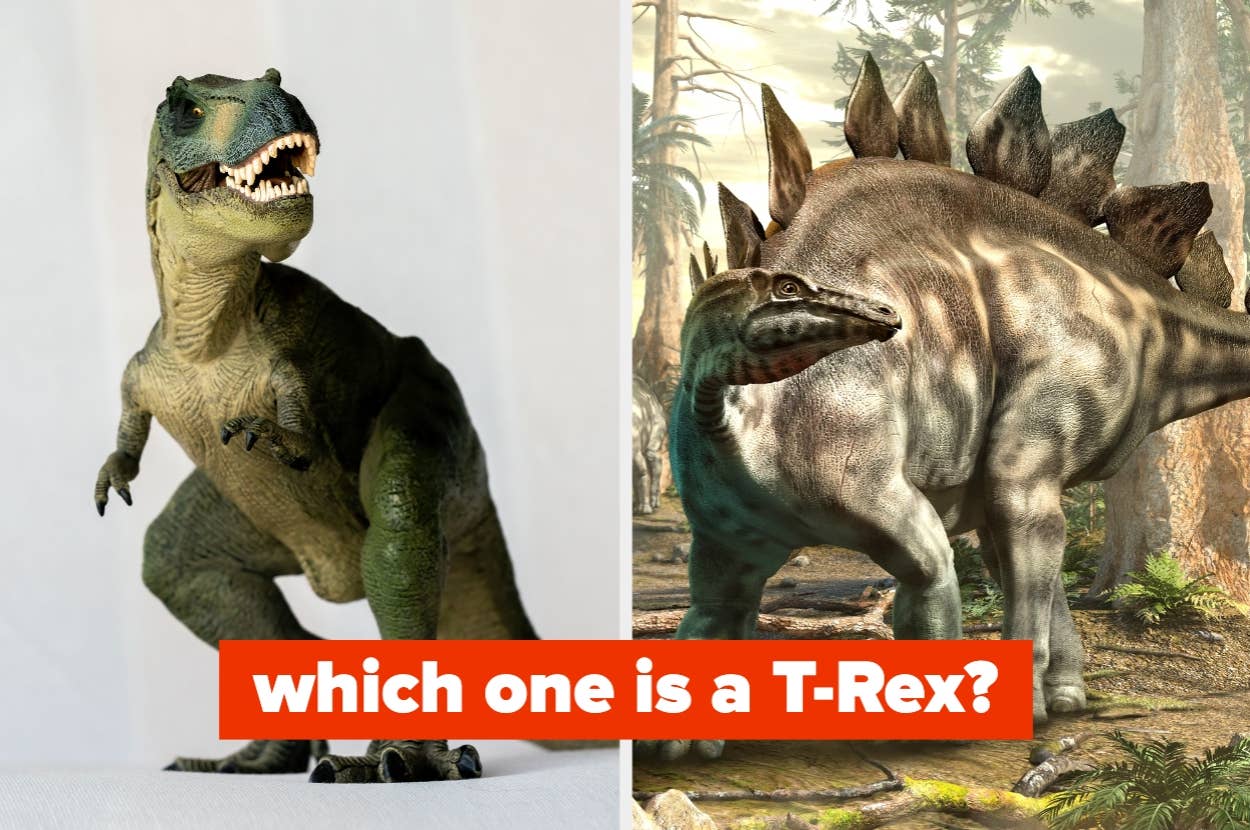 Two dinosaur images side by side; left: Tyrannosaurus rex model, right: Stegosaurus illustration. Caption at the bottom asks which is the T-Rex