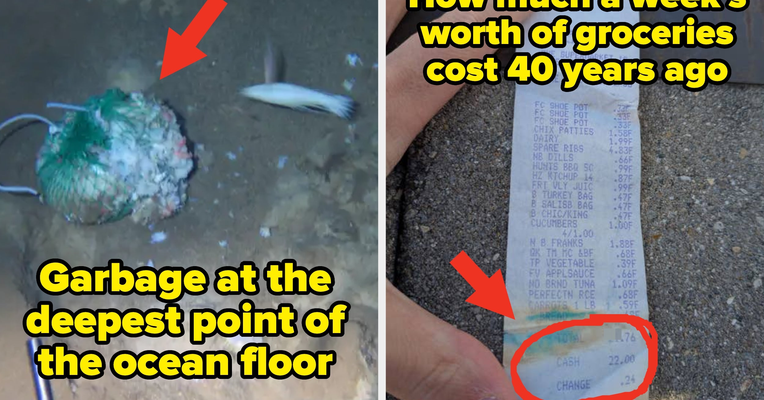 Okay, These 25 Absolutely Mind-Blowing Pictures Just Completely Dismantled My Grasp On How The World Works