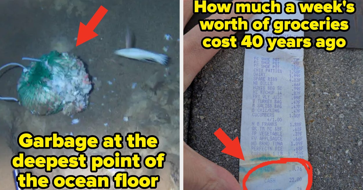 Okay, These 25 Absolutely Mind-Blowing Pictures Just Completely Dismantled My Grasp On How The World Works