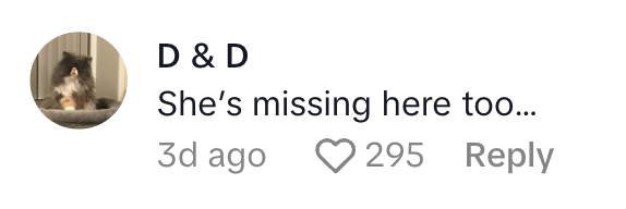 Comment reads: "She's missing here too…" with 295 heart reactions