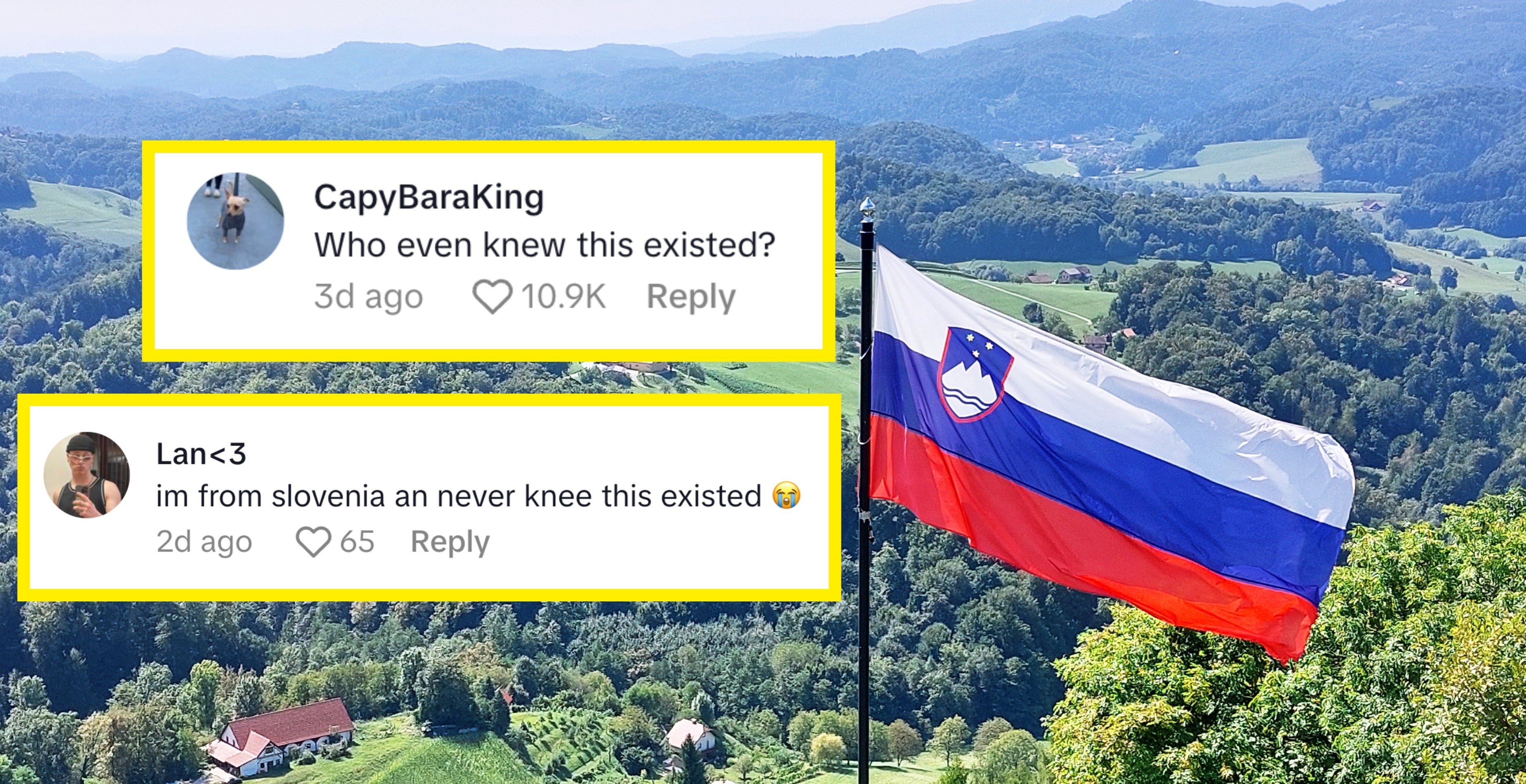 Slovenian flag on a hilltop; comments express surprise at Slovenia's existence, one from CapyBaraKing with 10.9K likes, another from Lan<3 with 65 likes
