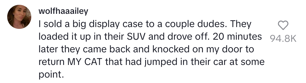 Comment about a cat accidentally taken by SUV buyers, then returned