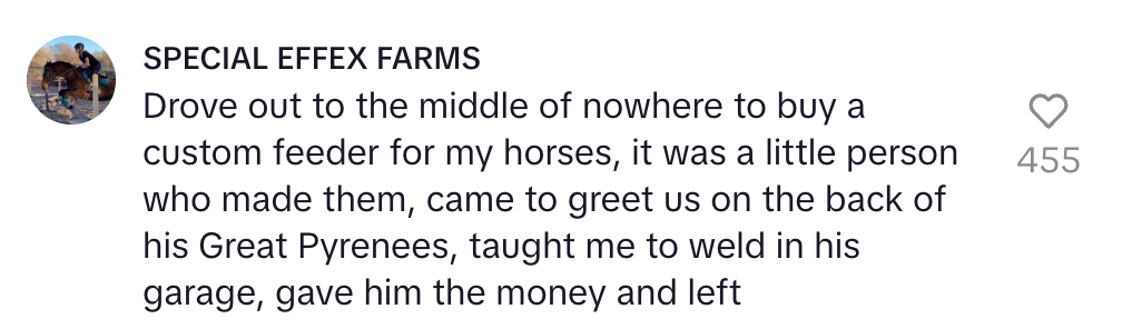 Summary: A trip to buy a custom horse feeder led to meeting a craftsman who arrives on a dog, teaches welding, and completes a purchase