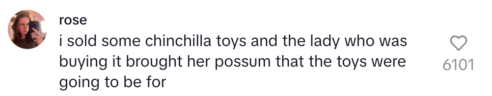 User describes selling chinchilla toys to a woman who brought a possum as the intended toy recipient