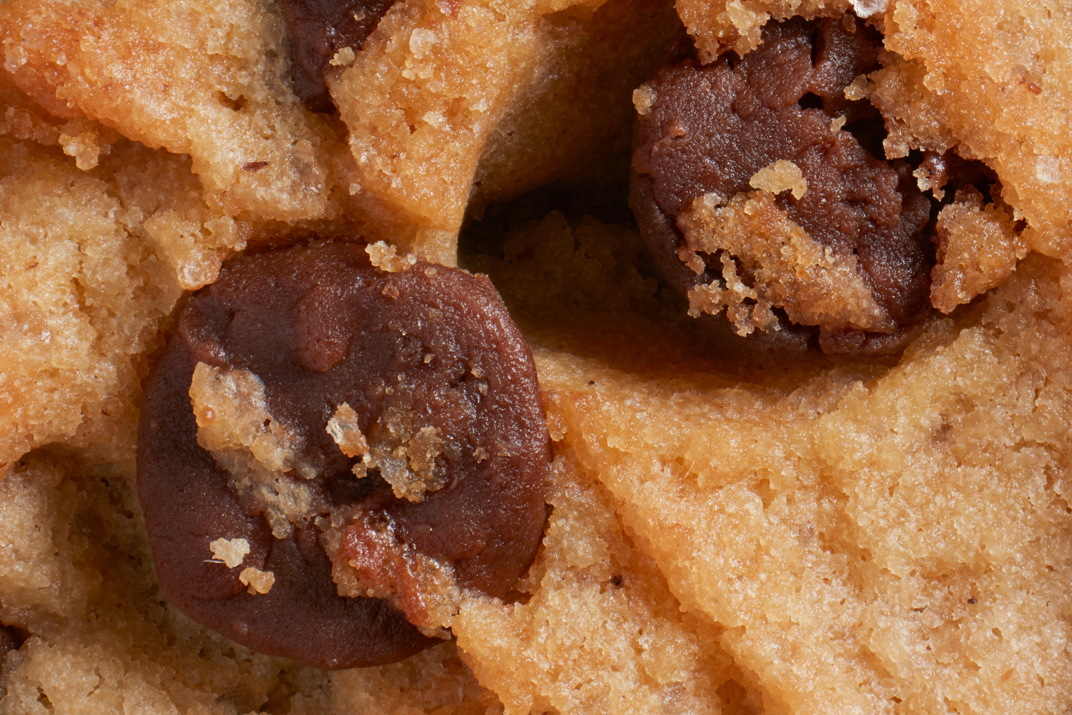 Close-up of a chocolate chip cookie showing details of the crumbly texture and chocolate chunks