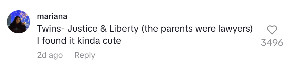 Comment saying: "Twins - Justice & Liberty (the parents were lawyers) I found it kinda cute." 3496 likes