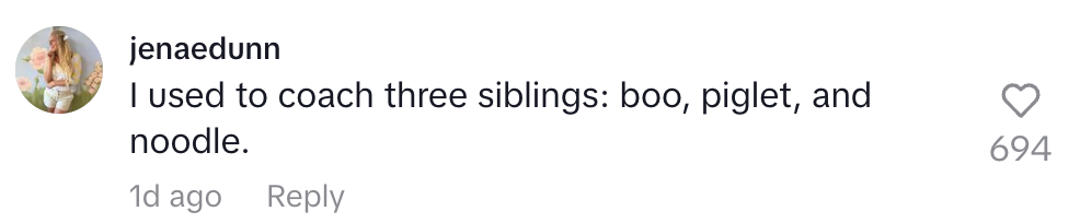 Comment says: "I used to coach three siblings: boo, piglet, and noodle."