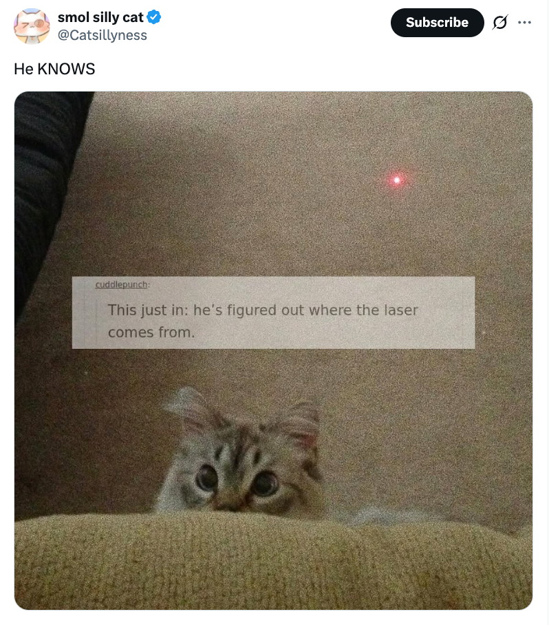 Cat peeking over a surface at a red laser dot on the wall, with text: "He's figured out where the laser comes from."