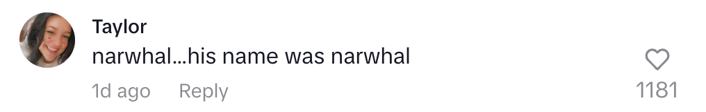 Comment saying, "narwhal… his name was narwhal," with laughing face and number of likes displayed