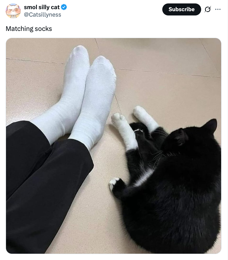 Person in white socks sits beside a black and white cat, both with matching paws and feet