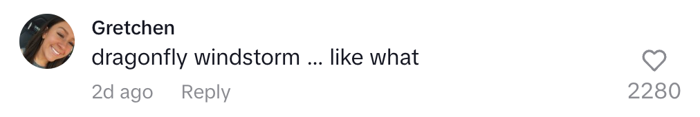 A social media comment by Gretchen reads, "dragonfly windstorm ... like what," with 2,280 likes and a heart icon