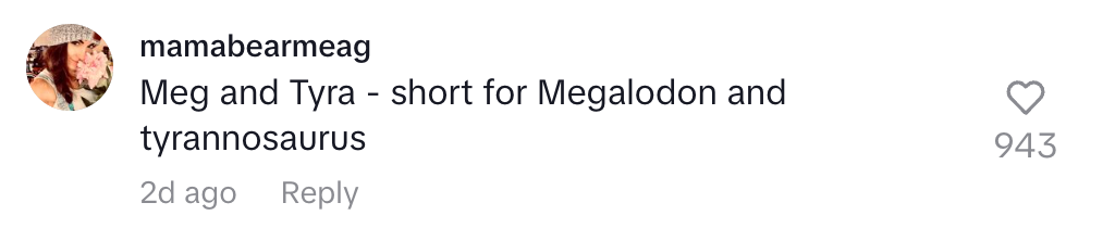 Comment by user "mamabearmeag": "Meg and Tyra - short for Megalodon and tyrannosaurus" with 943 likes