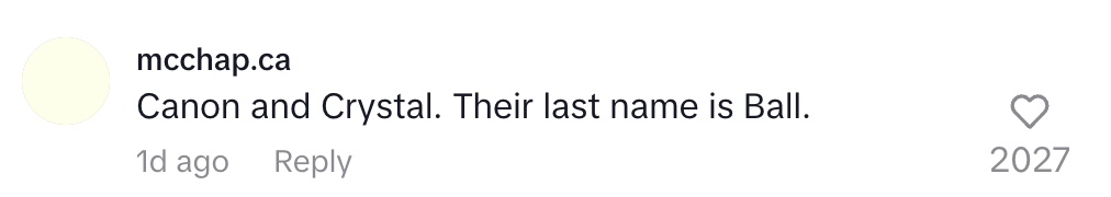 Comment joke says: "Canon and Crystal. Their last name is Ball," with 2027 likes