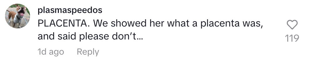 Comment from user "plasmaspeedos": "PLACENTA. We showed her what a placenta was, and said please don’t…"
