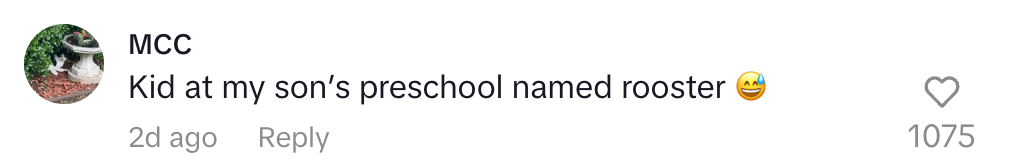 Comment about a preschooler named Rooster, with a laughing emoji and 1075 likes