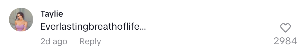 Social media comment by a user named Taylie: "Everlastingbreathoflife…" with 2984 likes