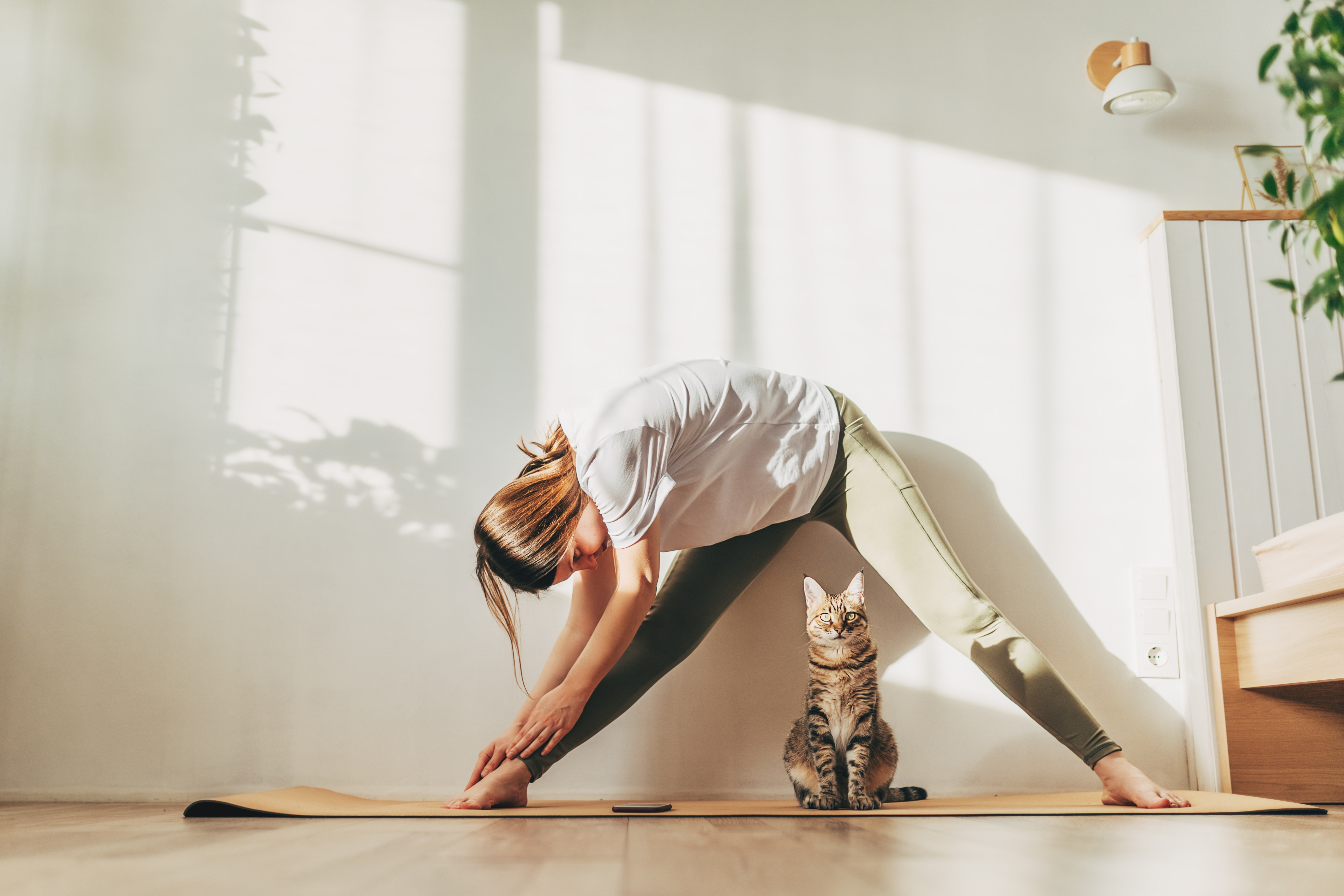 Person som gjør yoga strekker seg på matten hjemme, med katt som sitter i nærheten