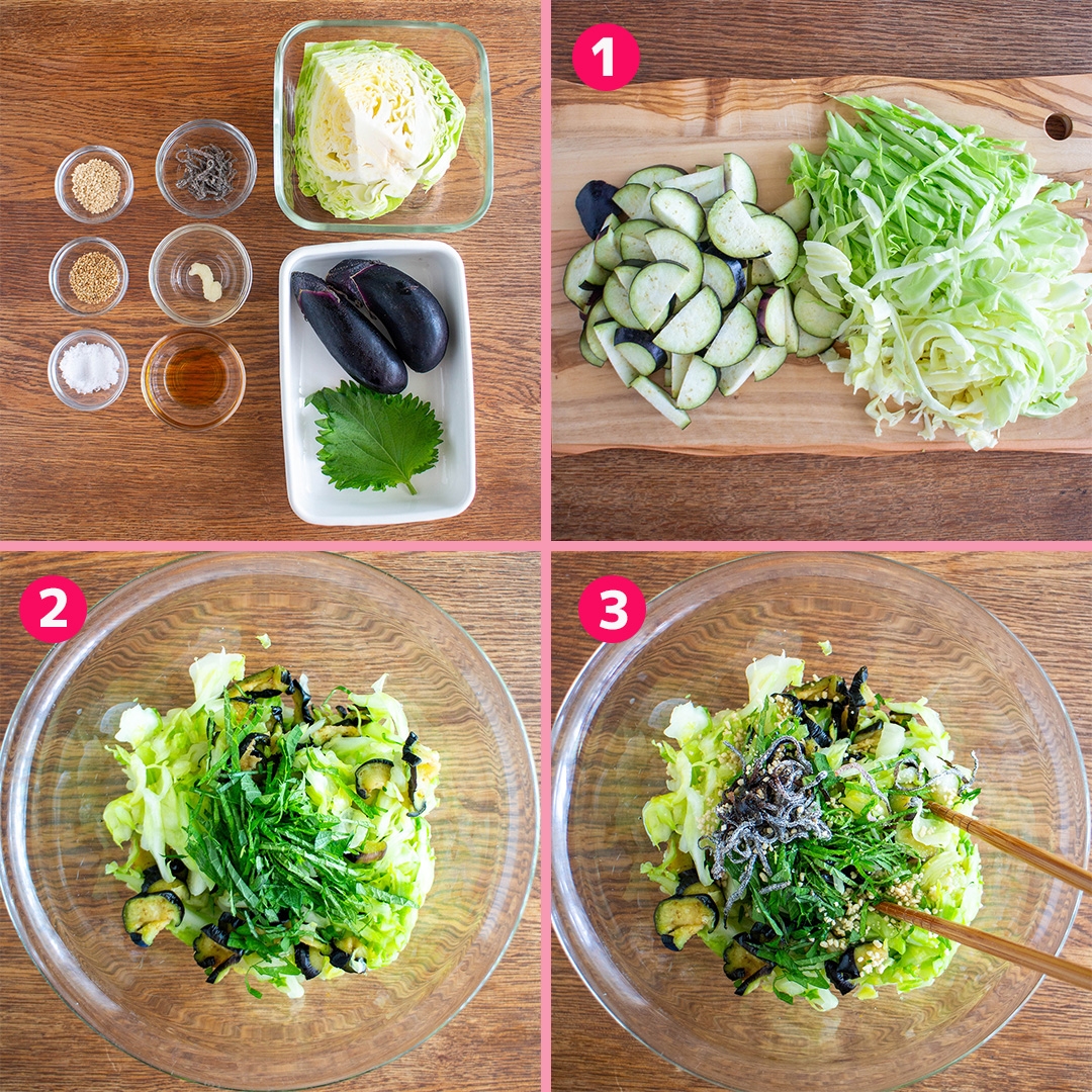 キャベツとなすの和えるだけ副菜】暑い日にぴったり！簡単さっぱり
