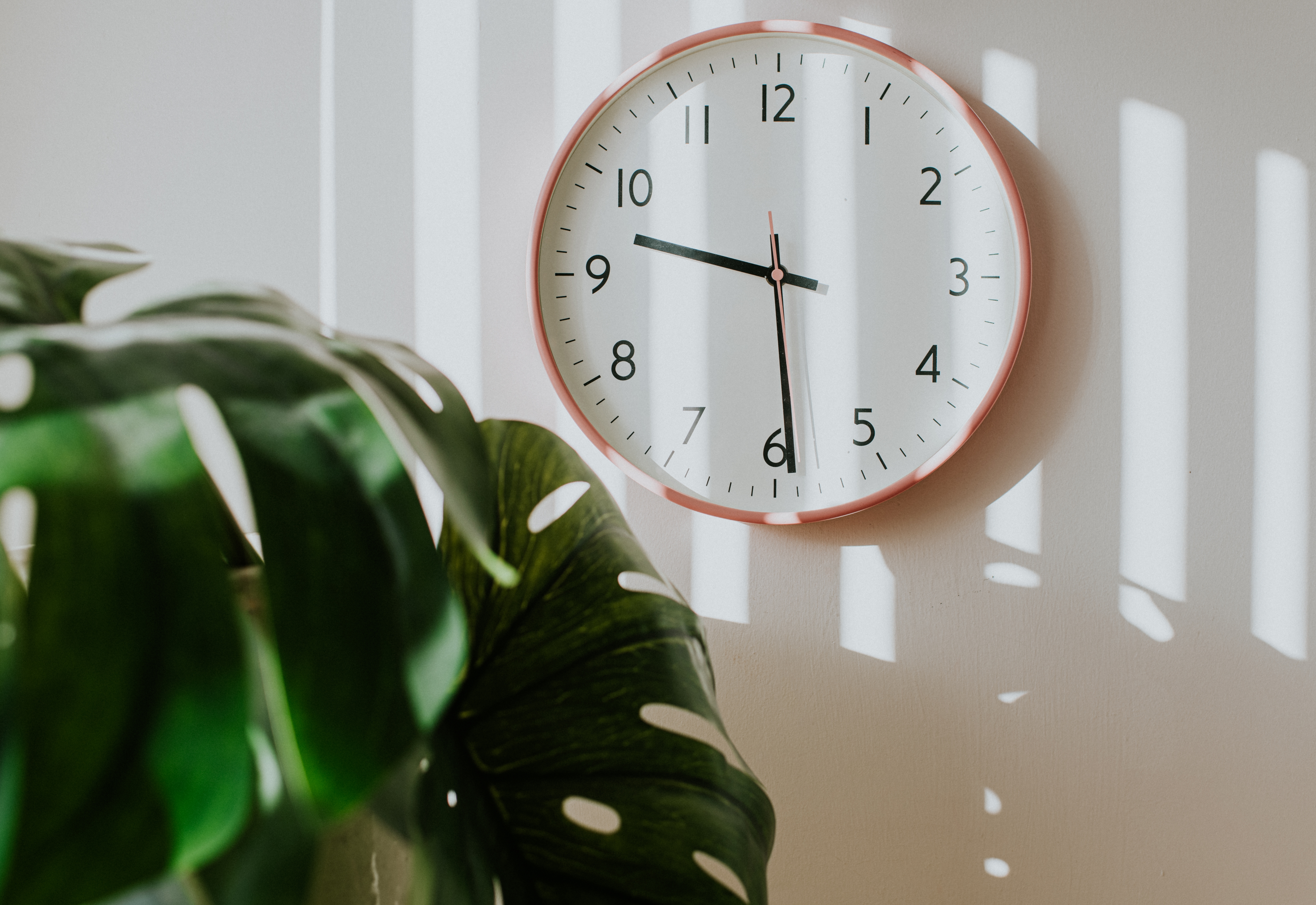 A wall clock shows 11:10, with sunlight and leaf shadows casting patterns on the wall