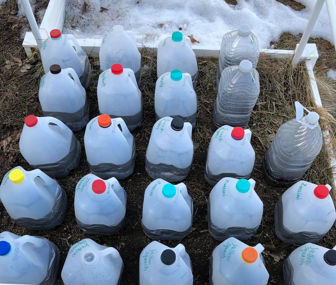 Several clear plastic jugs are filled with liquid and arranged outdoors on soil and snow, each with a different colored cap
