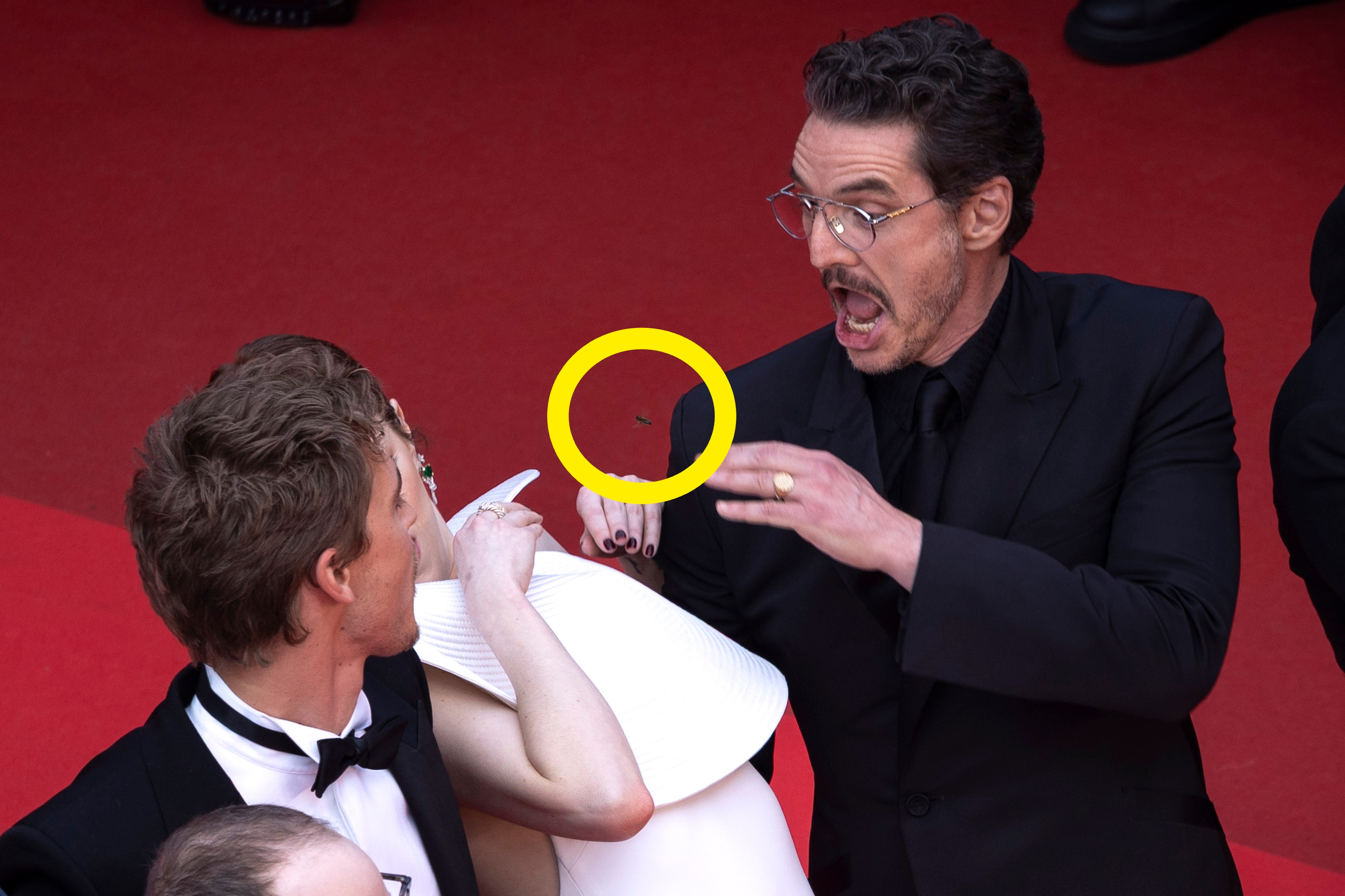 Emma Stone leans back as a bee swarms the Cannes red carpet with Austin Butler and Pedro Pascal reacting with shock