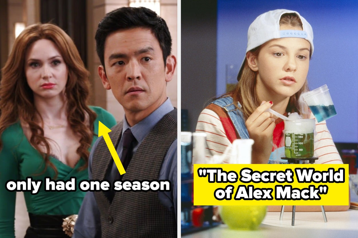 What’s a TV show that you used to love but no one else remembers?