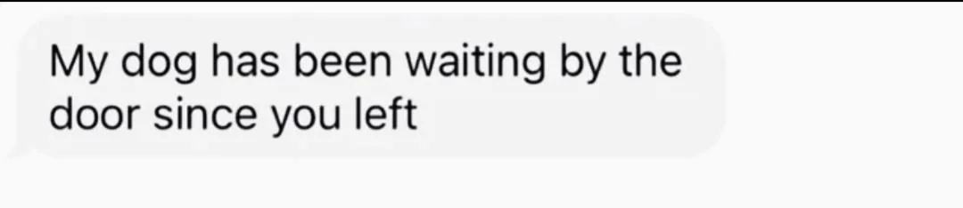 Dog has been waiting by the door since you left