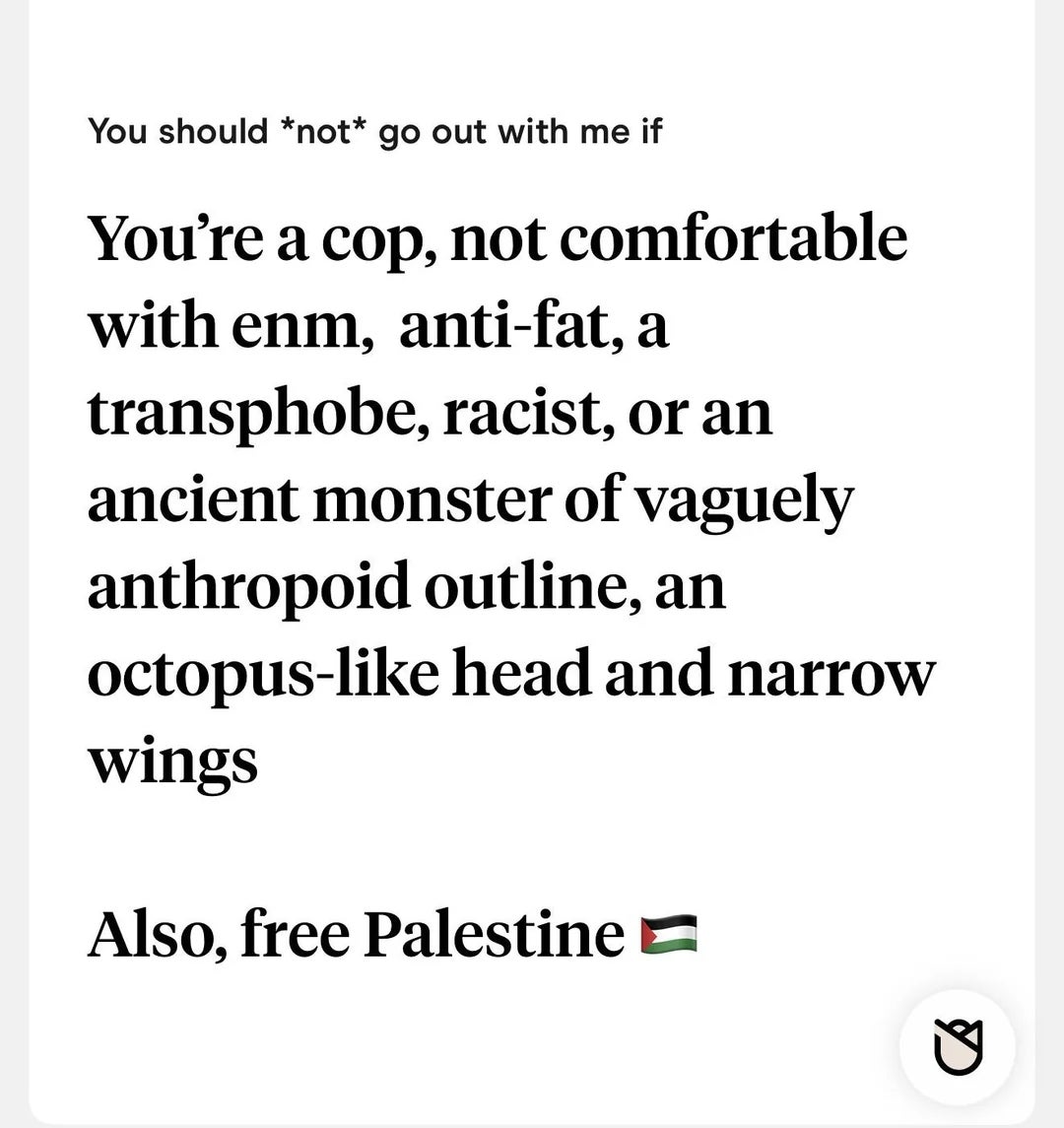 Text image satirically listing reasons someone shouldn't go out with the writer, mentioning cops, fat-shaming, and mythical figures. Ends with "Free Palestine."