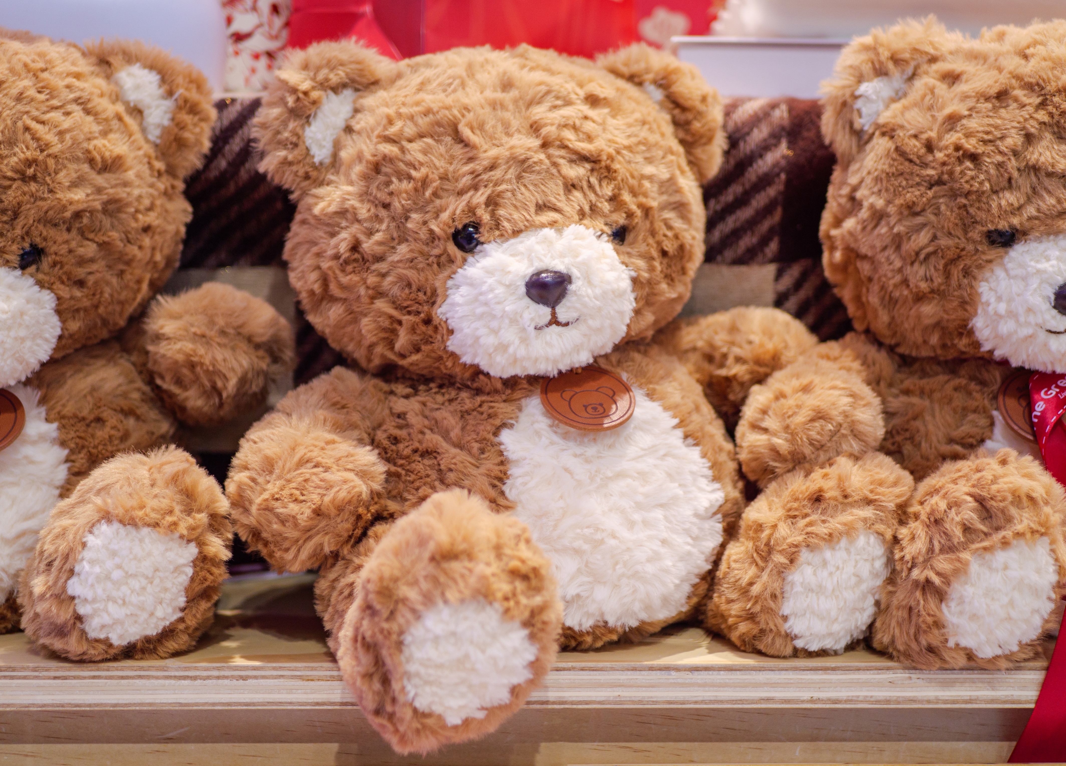 Three fluffy teddy bears on display, each with a soft, white belly and a medallion around their necks, sitting on a shelf lined with fabric