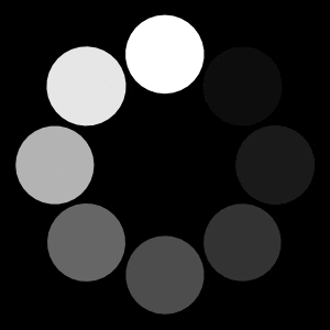 Loading spinner with circles changing shades, indicating a process in progress