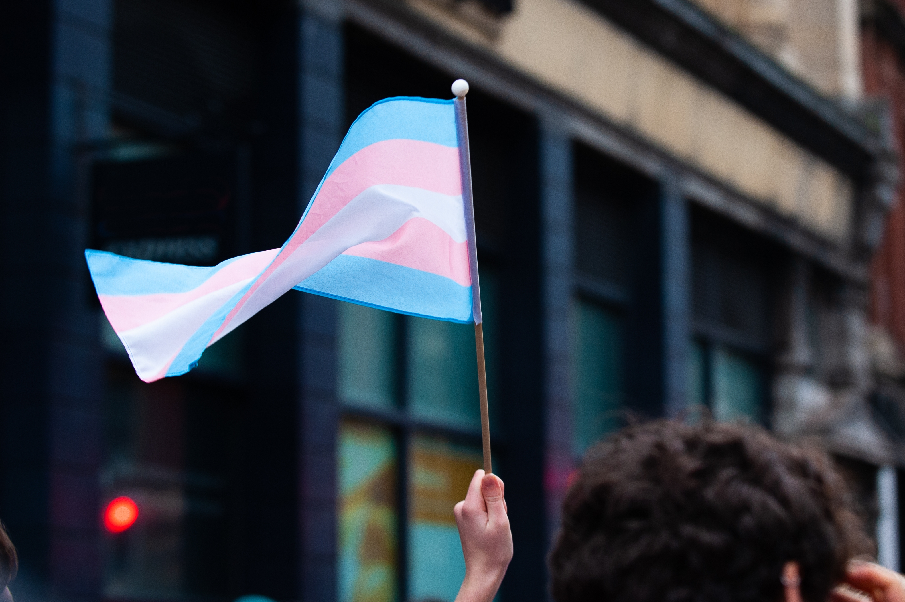 Person holding a waving transgender pride flag outdoors in a city setting