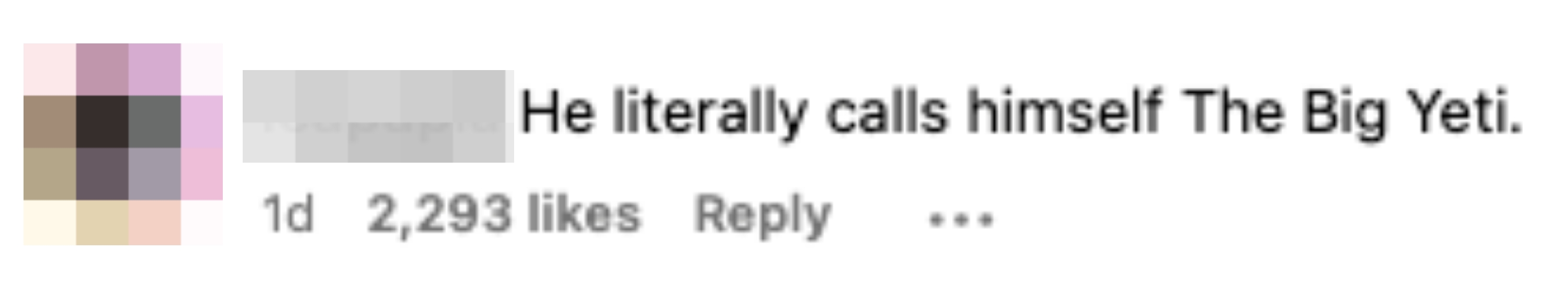 Comment by user leapapia: "He literally calls himself The Big Yeti."