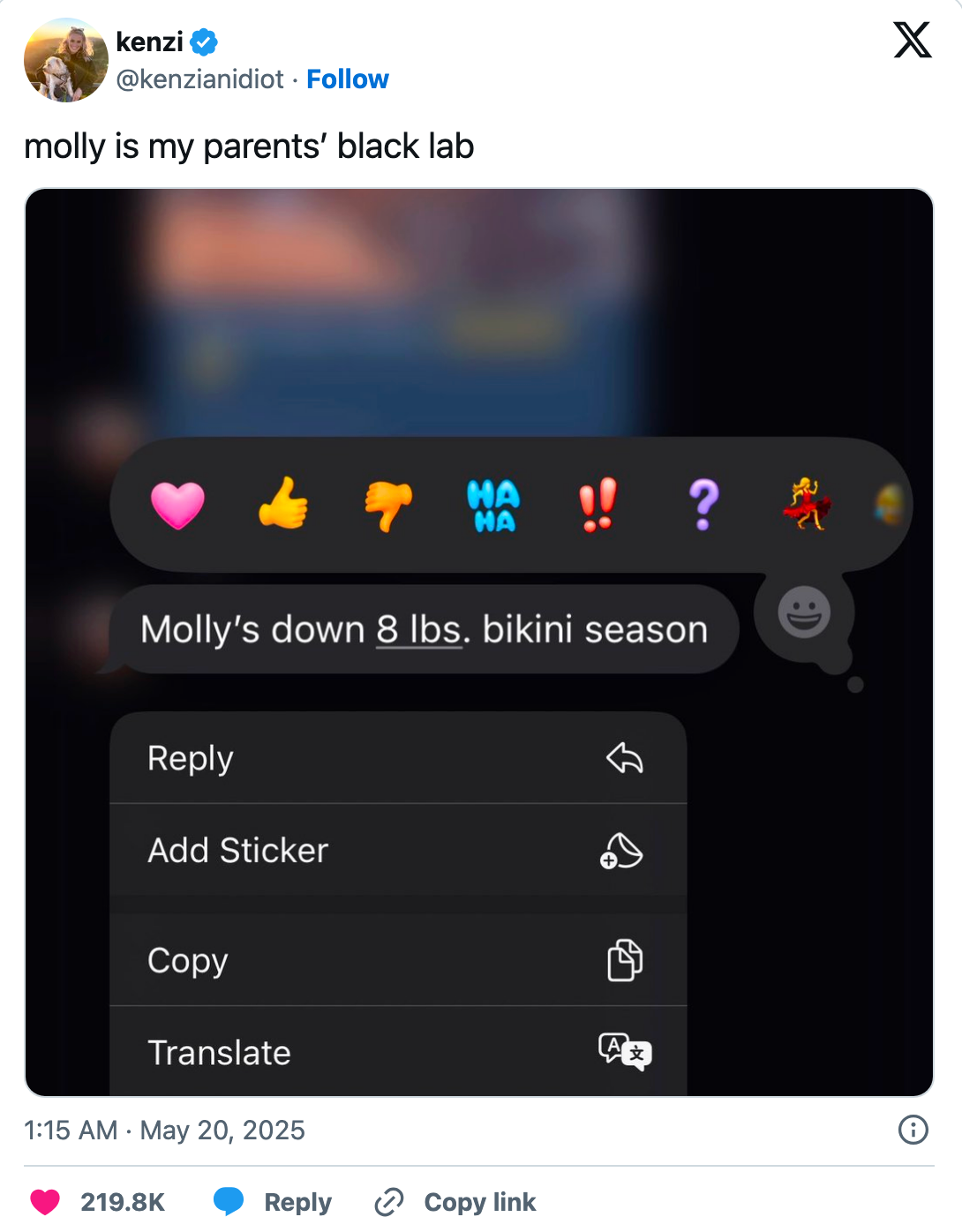 Text message joke about a Labrador named Molly losing weight for bikini season