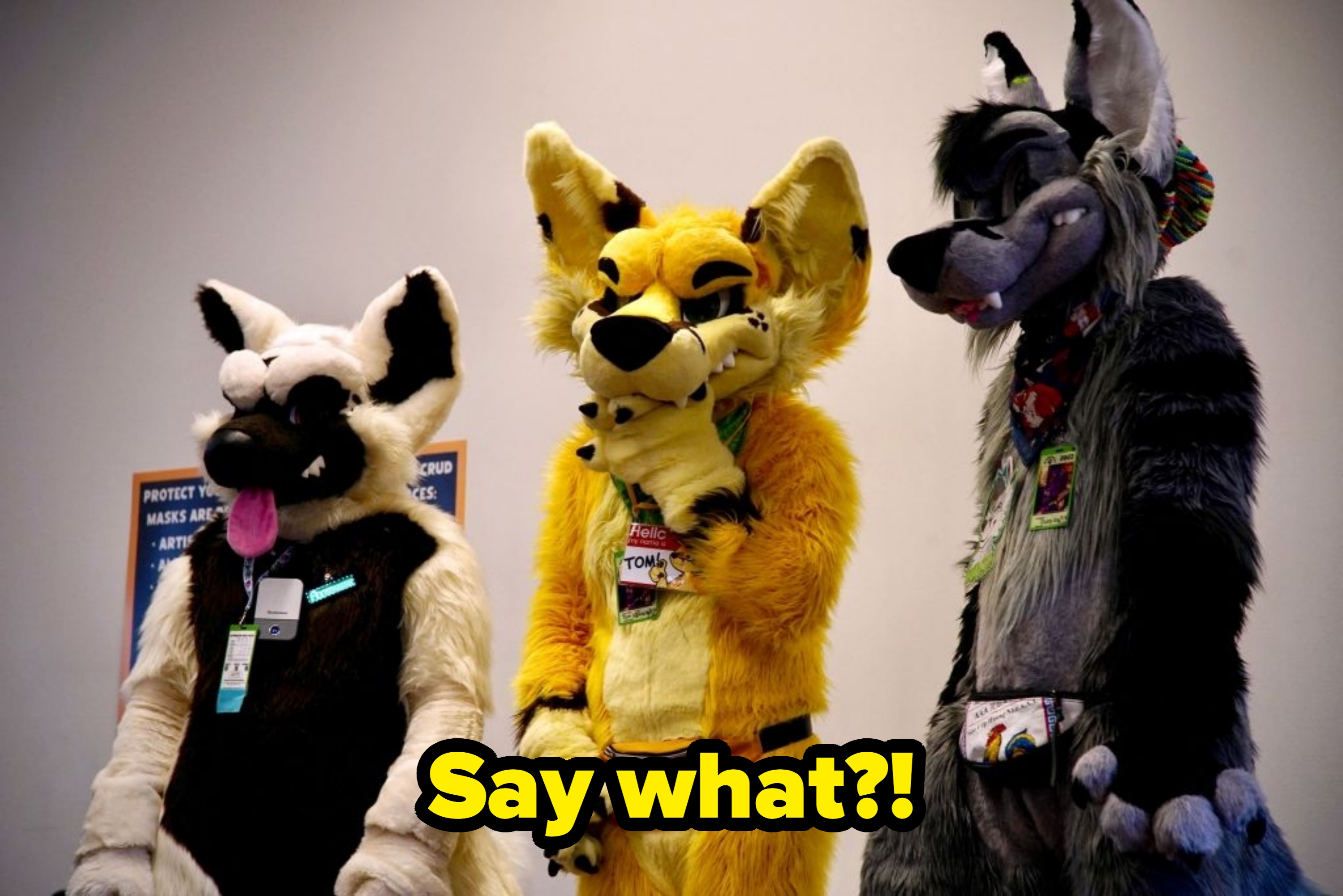 Three people in detailed animal costumes with badges stand side by side at an event, engaging with the audience