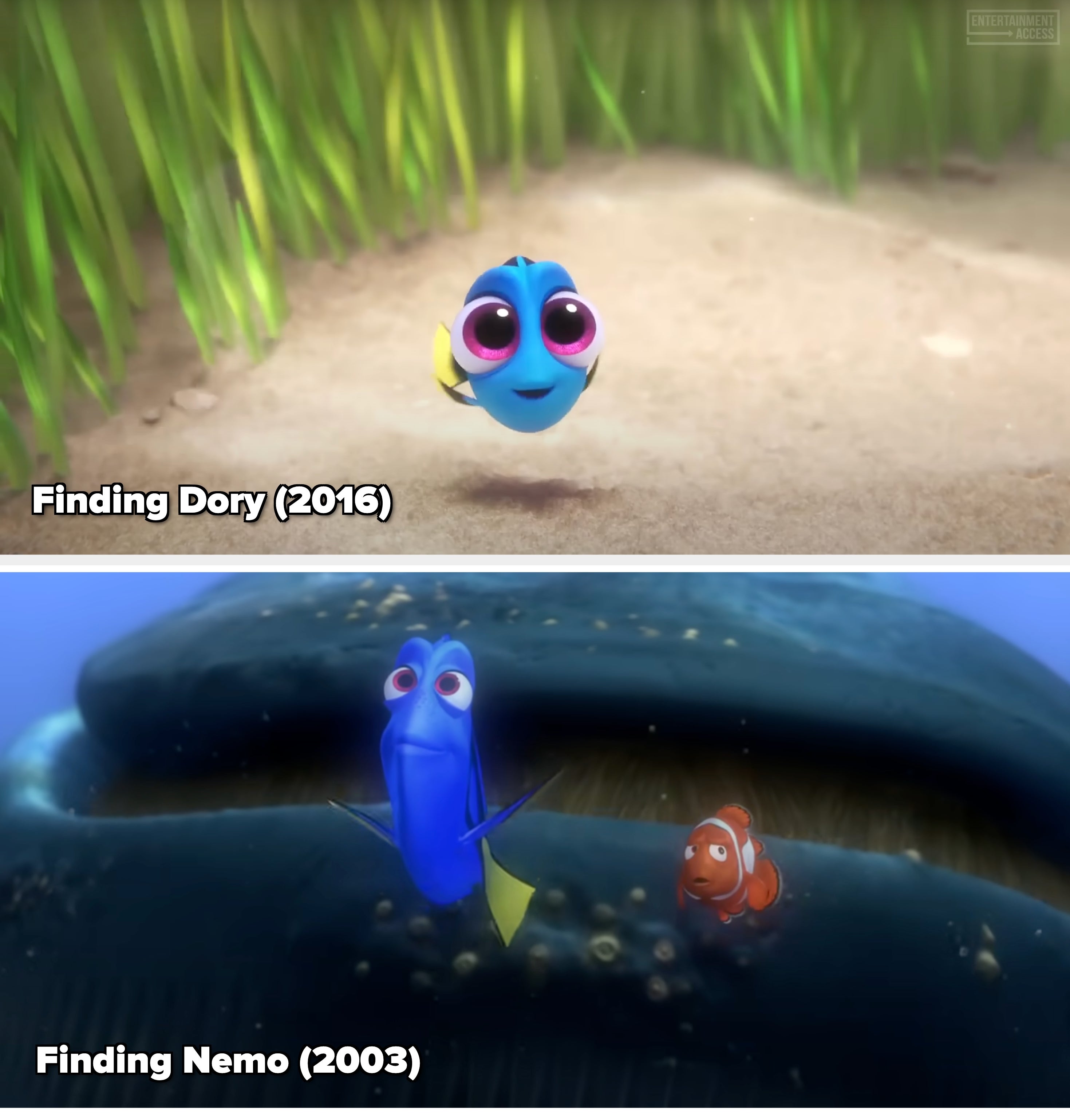 Animated fish with big eyes and a small smile swims near underwater vegetation on a sandy ocean floor