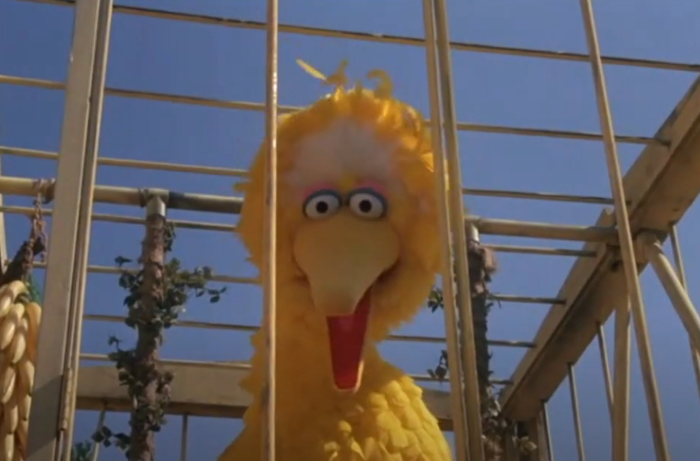 Big Bird from Sesame Street looks through a gazebo structure, surrounded by plants