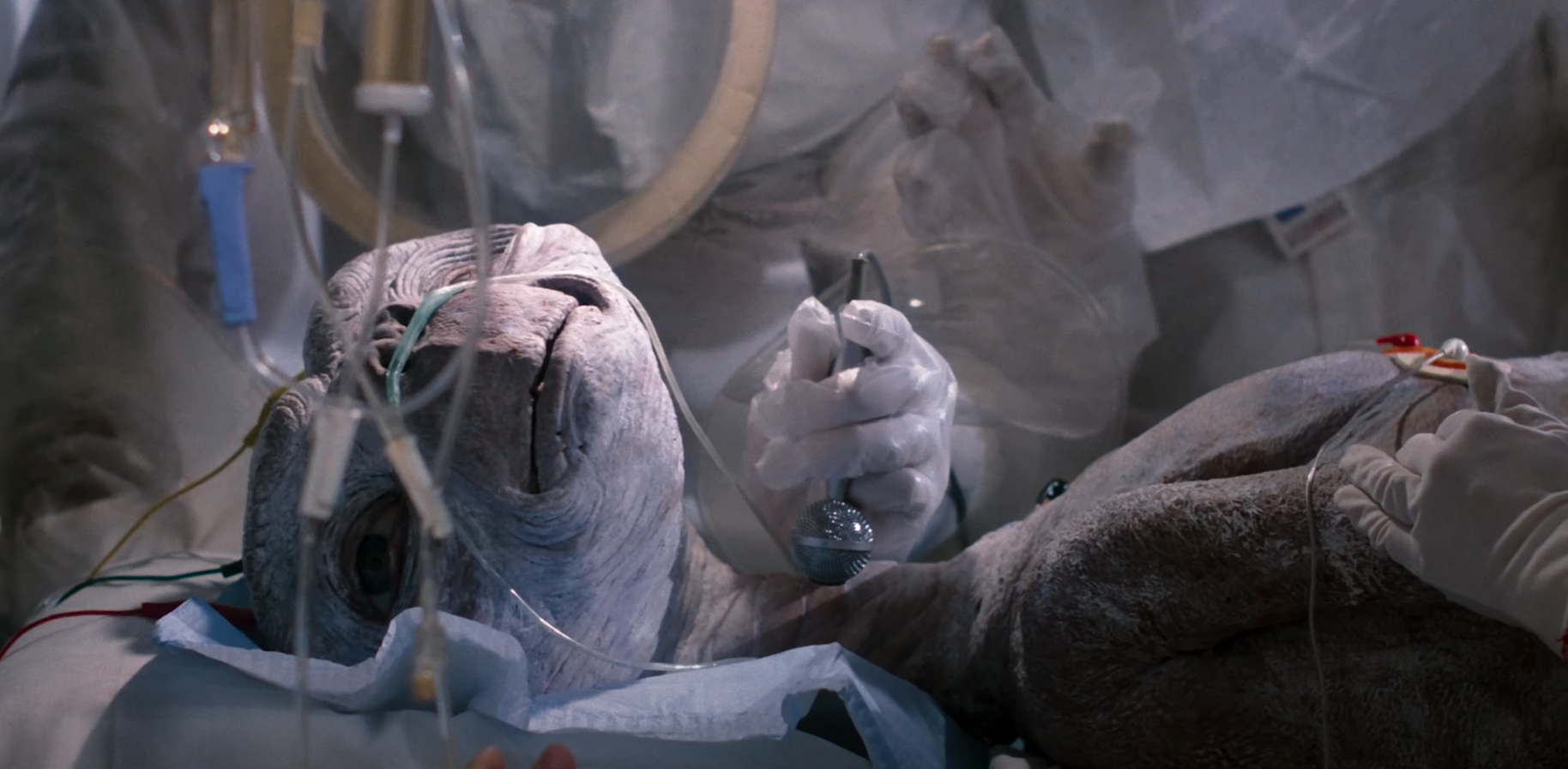 An animal receiving medical treatment in a clinical setting, surrounded by veterinary staff and equipment